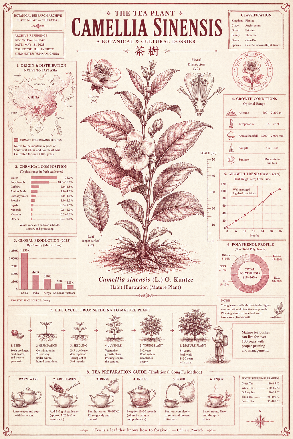 A sophisticated and detailed educational infographic in a vintage scientific bo… AI image prompt example